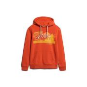 Sweater Superdry Sweatshirt à capuche rayé à motif outdoor