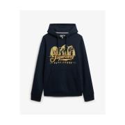 Sweater Superdry Sweatshirt à capuche Outfitters