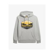 Sweater Superdry Sweatshirt à capuche Sun Tab