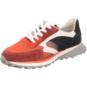 Sneakers Lloyd -