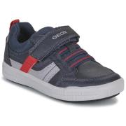 Lage Sneakers Geox J ARZACH BOY