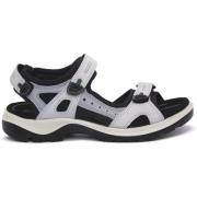 Sandalen Ecco OFFROAD LIMSTONE