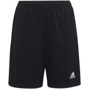 Korte Broek adidas -