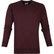 Sweater Colorful Standard Sweater Organic Bordeaux