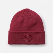 Hoed Timberland TB0A2PJR - TONAL 3D-EIC1 TAWNY PORT