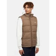 Blazer Dickies WALDENBURG VEST - DK0A4Y2K-MR1 MUSHROOM