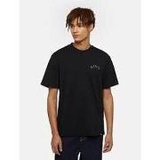 T-shirt Dickies PANTHER TEE - DK0A4Z4I-BLK1