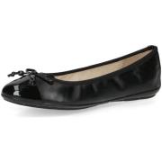 Ballerina's Caprice -