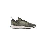 Nette schoenen Timberland WINSOR TRAIL LOW LACE UP