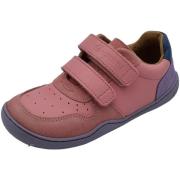 Sneakers Blifestyle -