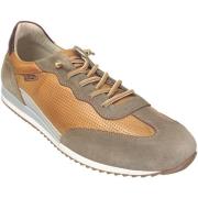 Klassieke Schoenen Pikolinos M2a-6365