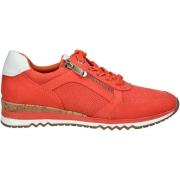 Lage Sneakers Marco Tozzi Sneaker