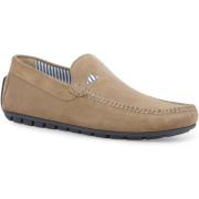 Mocassins Melluso U16017Z-246679