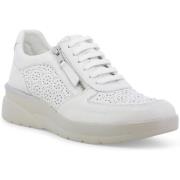 Lage Sneakers Melluso K55446-243686