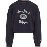 Fleece Jack Tommy Hilfiger -