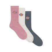High socks Dickies VALLEY GROVE LILAS