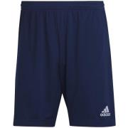 Korte Broek adidas Ent22 Tr Sho