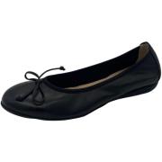 Ballerina's Wonders -