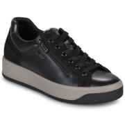 Lage Sneakers IgI&amp;CO D.AVA