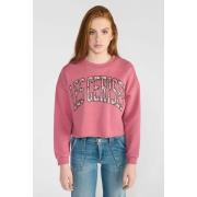 Sweater Le Temps des Cerises Sweater FILOUGI