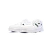 Lage Sneakers Lacoste -