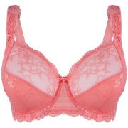 Voorgevormde bh Lingadore DAILY Beugel BH - Plus Size