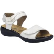 Sandalen Josef Seibel -