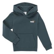 Sweater Puma ESS 2 COLOR Small No. 1 Logo Hoodie FL