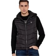 Donsjas Guess M5RN21 WCQA2