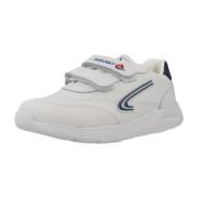 Lage Sneakers Pablosky 204002P