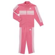 Setjes adidas Seasonal Essentials Tiberio 3-Stripes Tricot Track Suit ...