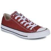 Lage Sneakers Converse CHUCK TAYLOR ALL STAR