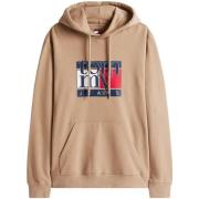 Sweater Tommy Hilfiger TJM REG RWB FLAG HOO DM0DM22092