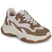 Lage Sneakers Ash ADDICT