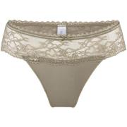 Strings Lingadore DAILY String