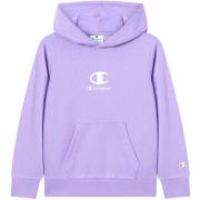Sweater Champion Hooded Sweatshirt