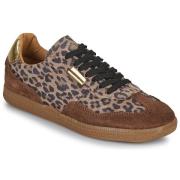 Lage Sneakers Steve Madden EMPORIA