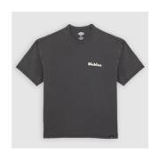 T-shirt Korte Mouw Dickies SLAYDEN GD