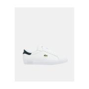 Lage Sneakers Lacoste 49SMA0081 POWERCOURT