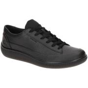 Lage Sneakers Ecco -