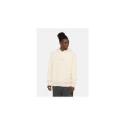 Sweater Dickies SUMMERDALE HOODIE - DK0A4Y6PF901-WHITECAP GRAY