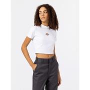 T-shirt Dickies MAPLE VALLEY DK0A4XPO-WHX WHITE