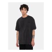T-shirt Dickies PLENTYWOOD TEE - DK0A866BH861-ACID BLACK