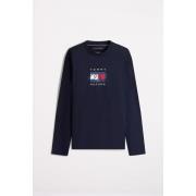 T-Shirt Lange Mouw Tommy Hilfiger LINEAR FLAG GRAPHIC LS T