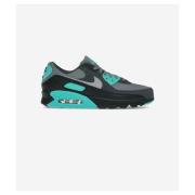 Lage Sneakers Nike Air Max 90 Cool Grey Dusty Cactus Black Wolf Grey