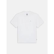 T-shirt Korte Mouw Dickies CLANCY - DK0A4Z4L-0WH1 WHITE
