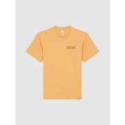 T-shirt Korte Mouw Dickies COMPANION TEE - DK0A4Z98K411-OAK BUFF