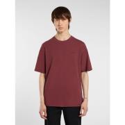 T-shirt Korte Mouw Dickies PLENTYWOOD TEE - DK0A866BL161-ANDORRA