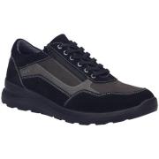 Lage Sneakers Josef Seibel -