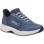 Lage Sneakers Josef Seibel -